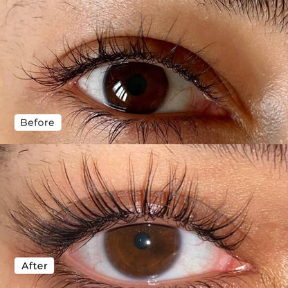 LASHRISE PRO™ | STRONGER LASHES DAILY